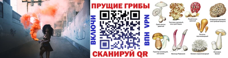 Галлюциногенные грибы Psilocybe  Малоархангельск 