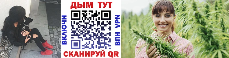 Конопля White Widow где купить Малоархангельск